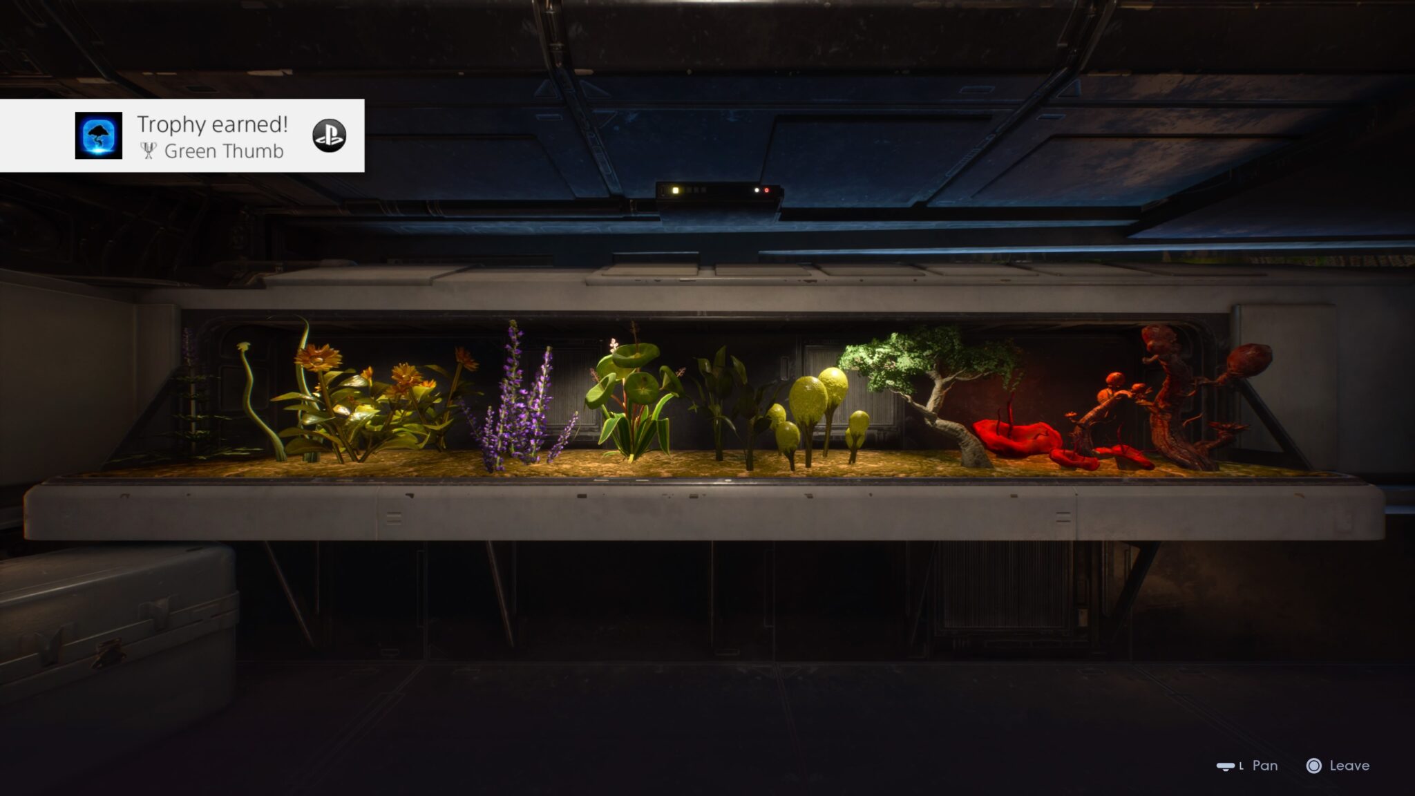 Star Wars Jedi Fallen Order Terrarium Seeds Guide