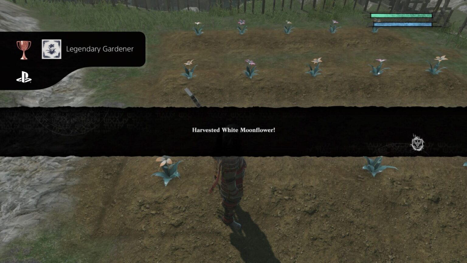 Nier Replicant (2021) Trophy Guide & Road Map (PlayStation 4)